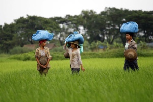 ปีหน้า  ‘อินโดฯ-ฟิลิปปินส์’ เล็งเลิกซื้อข้าวจากต่างประเทศ