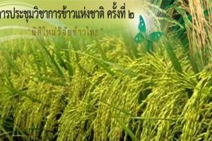 ‘มิติใหม่วิจัยข้าวไทย’ รับมือภัยความไม่มั่นคงอาหารโลก