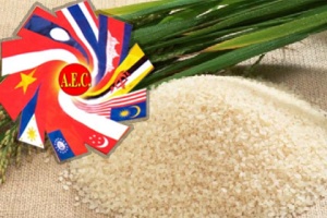  ยกระดับไทยเป็น “ศูนย์กลางการค้าข้าว”เส้นทางความสำเร็จในตลาดโลก