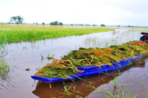 ก.วิทย์ฯ มอบ “มีเดียบอกซ์” ช่วยท้องถิ่นรับมืออุทกภัย-วางแผนเกษตร