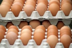 Egg Board ชู 4 มาตรการลดไข่ล้นตลาด