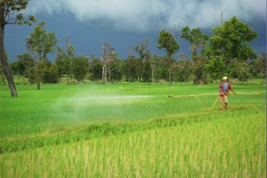 นวัตกรรมใหม่ในภาวะโลกเดือด อะไรที่เกษตรไทยต้องตั้งรับ