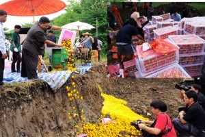 ฝังทำลายส้มจีนติดใบลักลอบนำเข้าเกลื่อนตลาดไทย ซื้อถูกระวังปนเปื้อน
