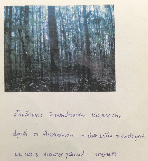 PIC-ปาสกทอง-วฒพงศ-1