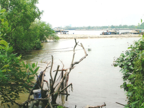 PIC-รกแมนำเจาพระยา--รป-1