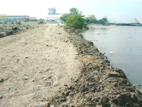 PIC-รกแมนำเจาพระยา--รป-2-