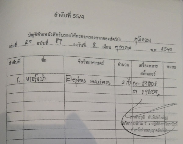 PIC-งาชางโปฎก-3