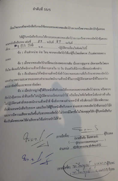 PIC-งาชางโปฎก-4