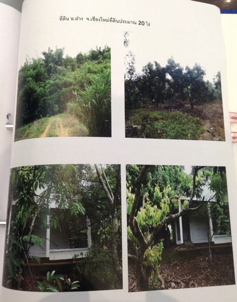 PIC-ทดนกฤษณพงศ-3