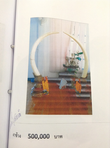 PIC-ขวญชย-1