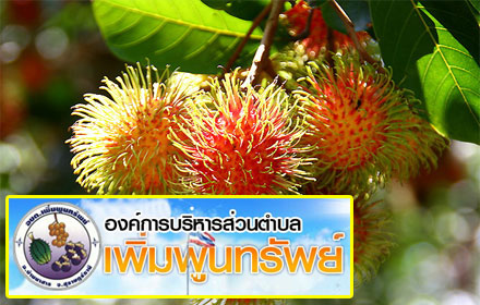 PIC-permpoonsup-2-10-57 1