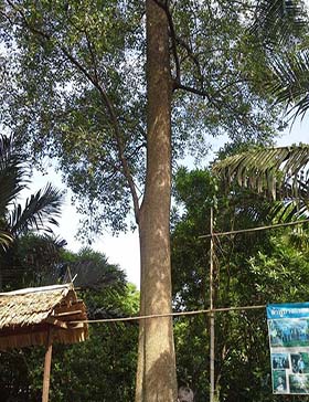 10705156 10152352882731769 849479660 n