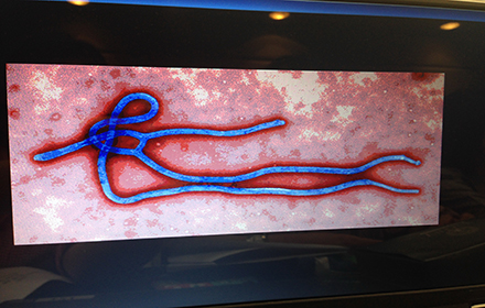 EBOLA2