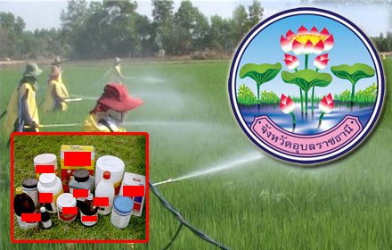 PIC yakamalang 24 6 58 1