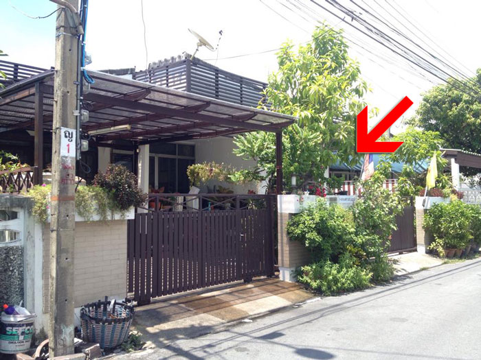 PIC นกเขยนดง 4