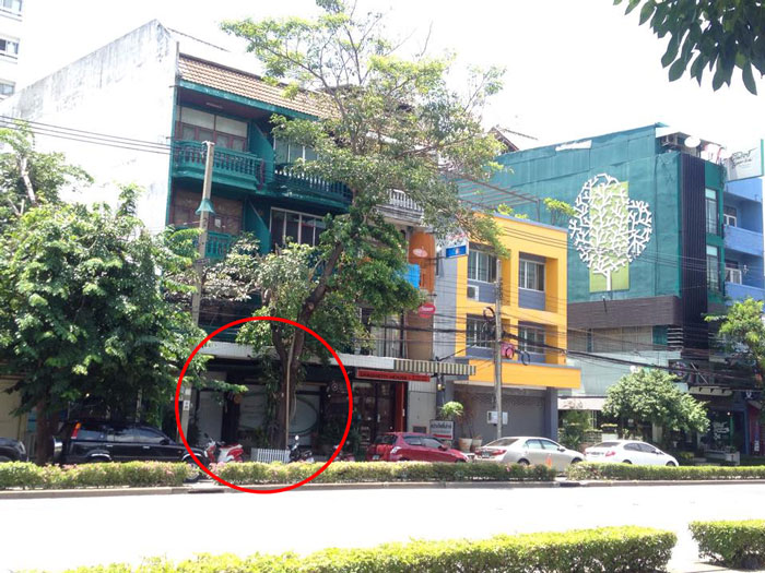 PIC บนกเขยนดง 1