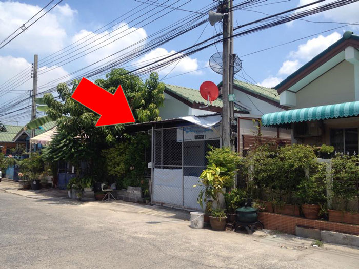 PIC บานขจร 1