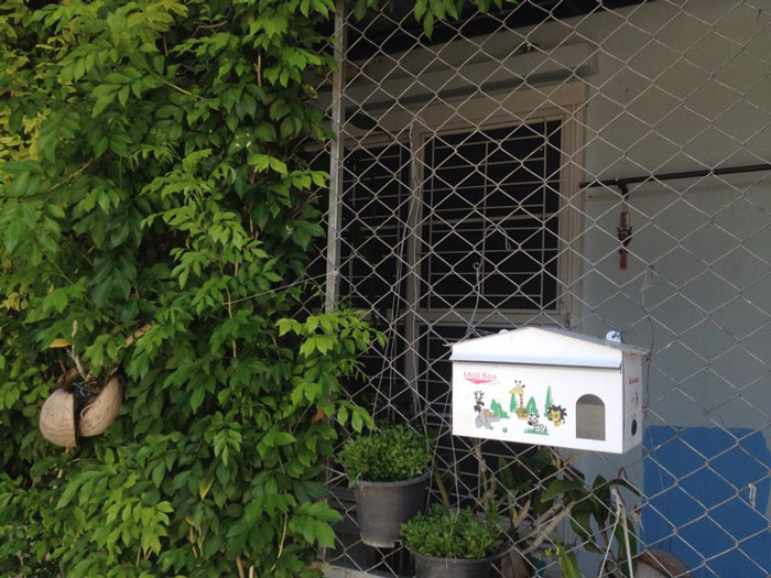 PIC บานขจร 3