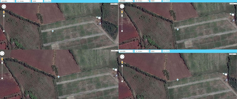 PIC ภาพถายทดนชาตอดม 1 horz