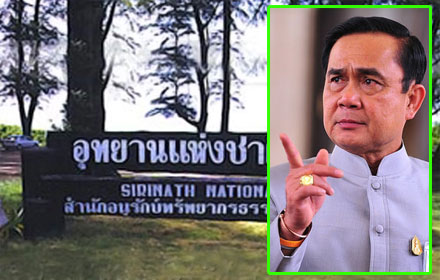 PIC bigtuuudd 28 5 58 1