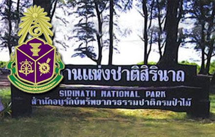 PIC sirinat 30 5 58 1