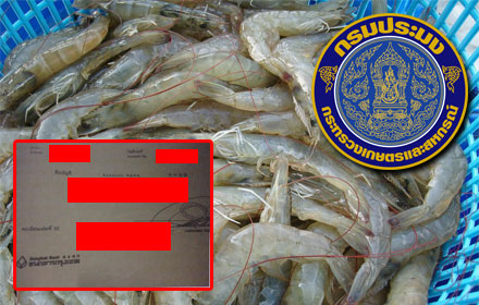 PIC seelshrimp 17 6 58 1