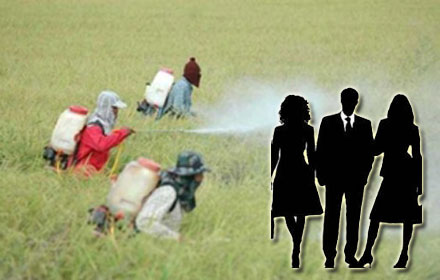 PIC yakamalang 11 6 58 1