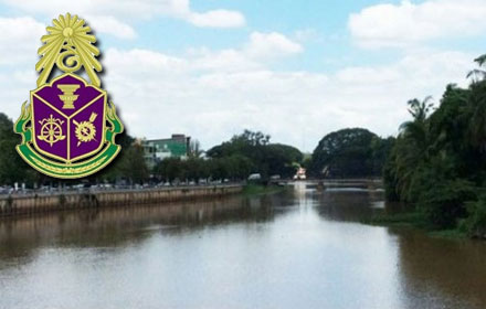 PIC pingping 19 7 58 1