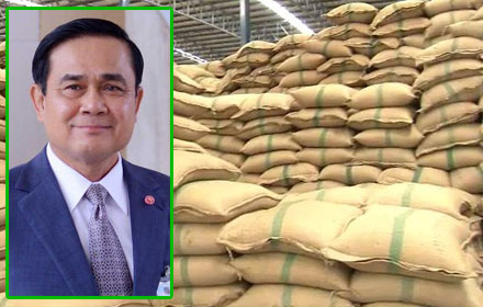 PIC yuthyuth 2 9 58 1