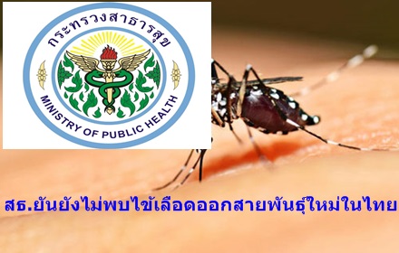 thaihealth c abcjmpqrx479