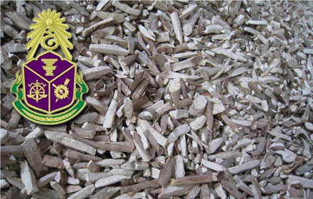 PIC munsennn 8 12 58 1