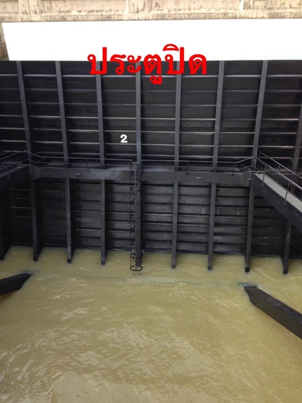 11742735 880573072037042 3755480336150436222 n