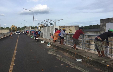 11781717 880310505396632 8351116678408097308 n