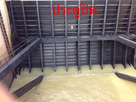 11800181 880573008703715 2867477369400298077 n