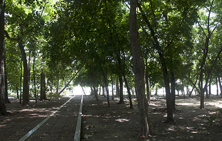 ปากลางเมองวดนางช