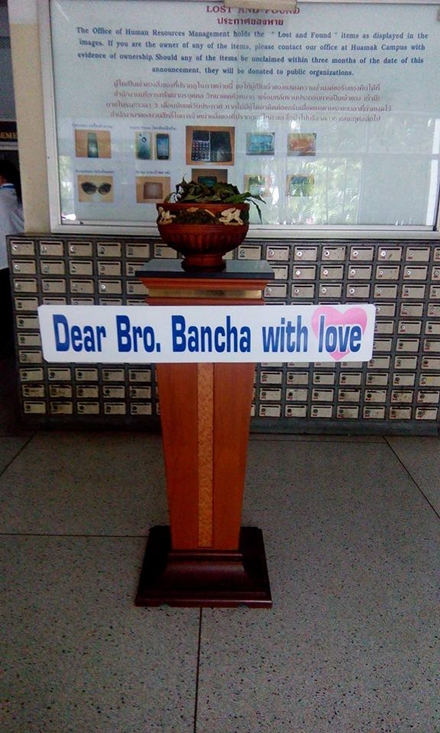 11855759 1479167599068892 5089958694833805944 n