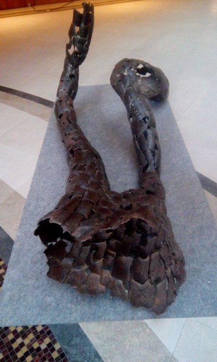 12313686 1527824474203204 2358586870163691635 n