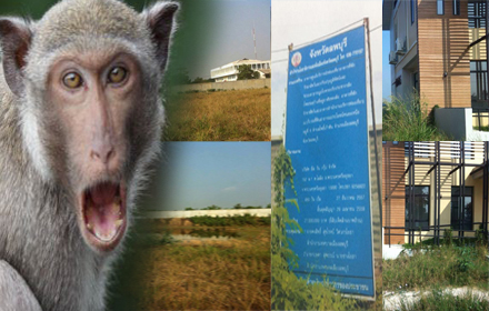 picthdhyhdededeed25 1 16