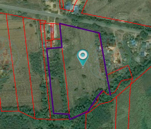 PIC ทดนธารต 5