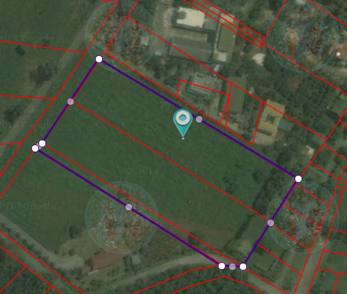 PIC ทดนธารต 7