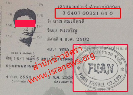 pigtyyysdews0013 6 16