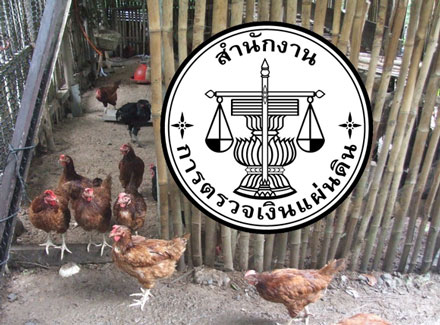 picbgyhdddddddd4 11 16