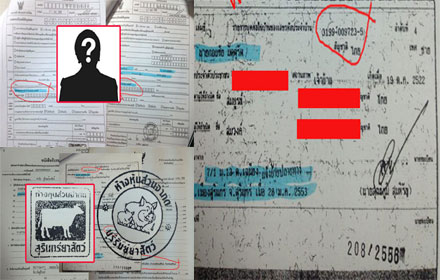 picgtgttgddddd12 556