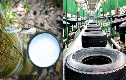 PIC yangyang 26 1 59 1