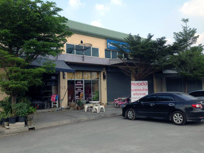 180259 sheaphonest 01