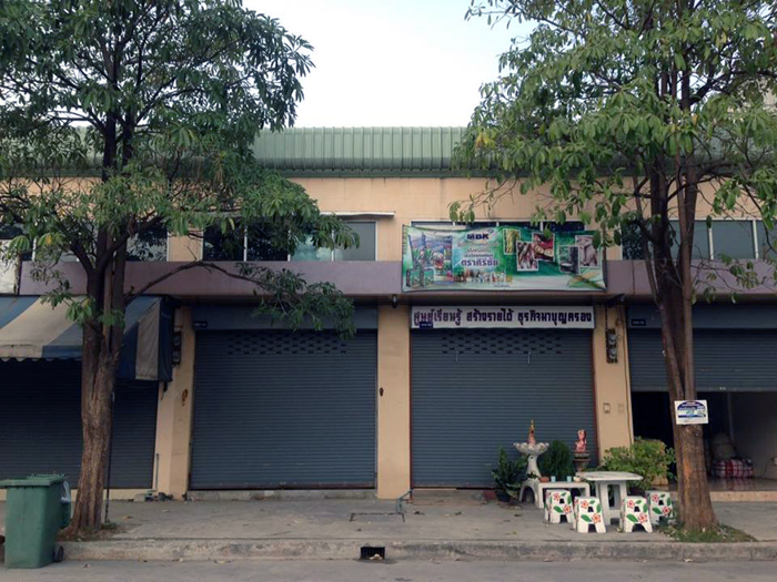 180259 sheaphonest 03