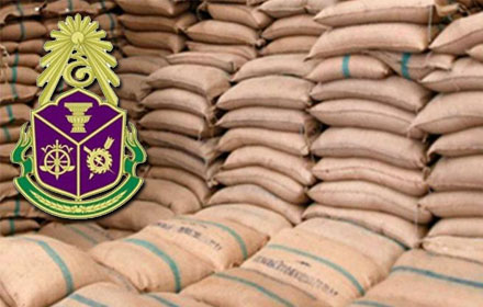 PIC naccdd 16 2 59 1