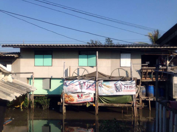 100459 motifoflight 03