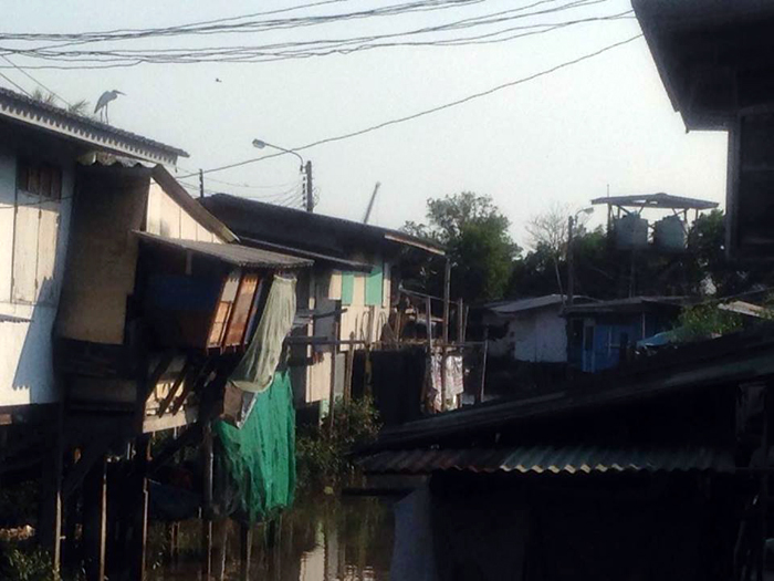 100459 motifoflight 04