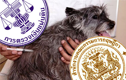 PIC stngjj 15 4 59 1